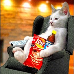 Waiting  on OFFERS 😻 on Bundles !